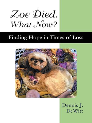 cover image of Zoe Died. What Now?